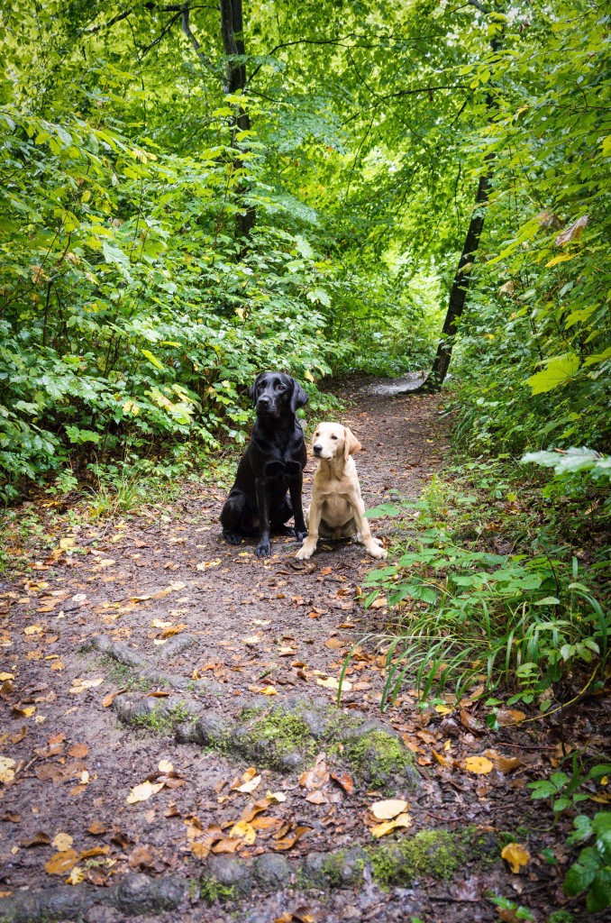 Bob & Elio im Goldenberg - September 2013