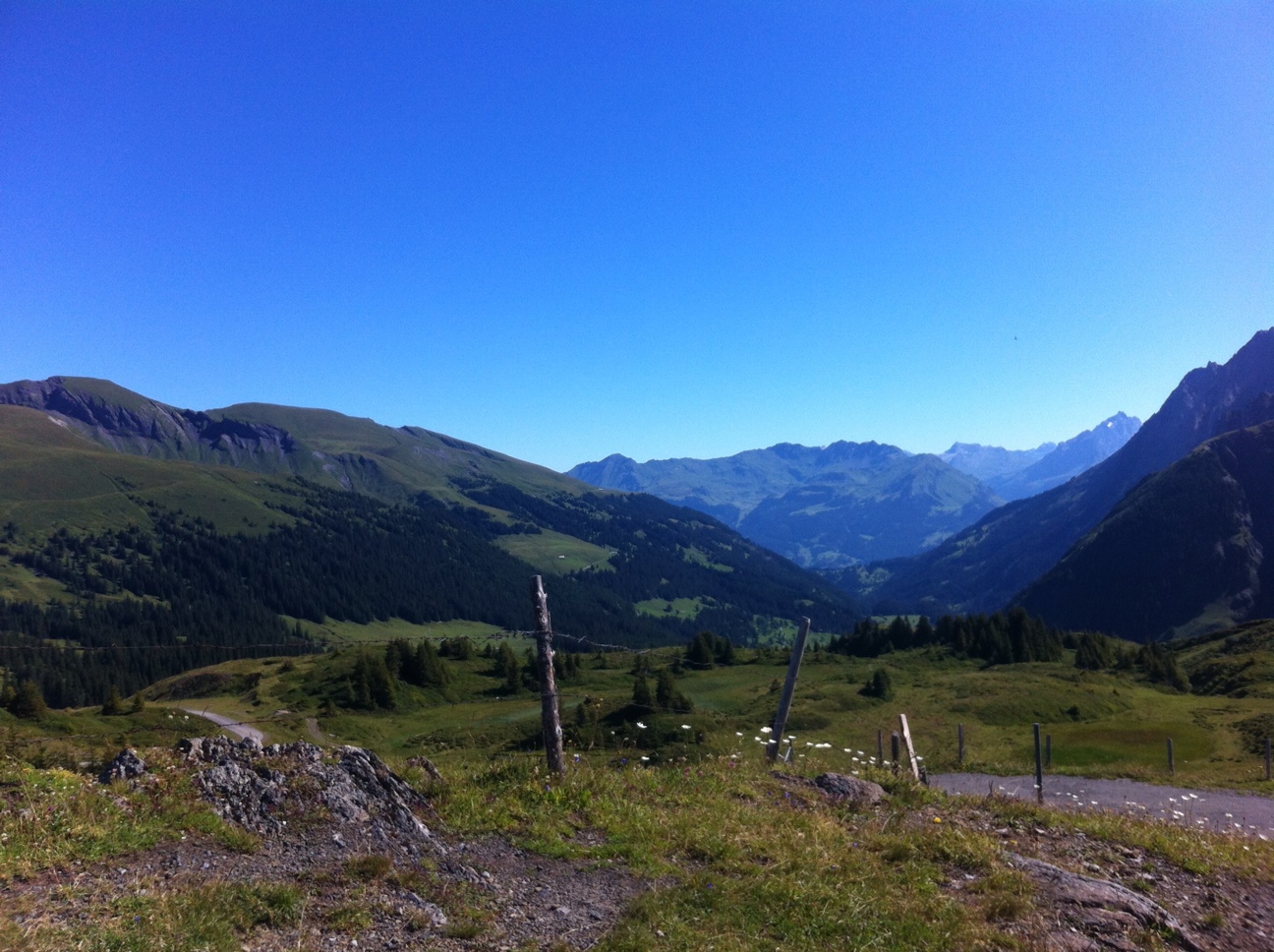 20120801-175455.jpg