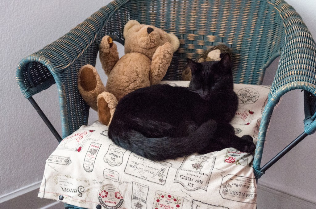 Nero bei Bär & Igi