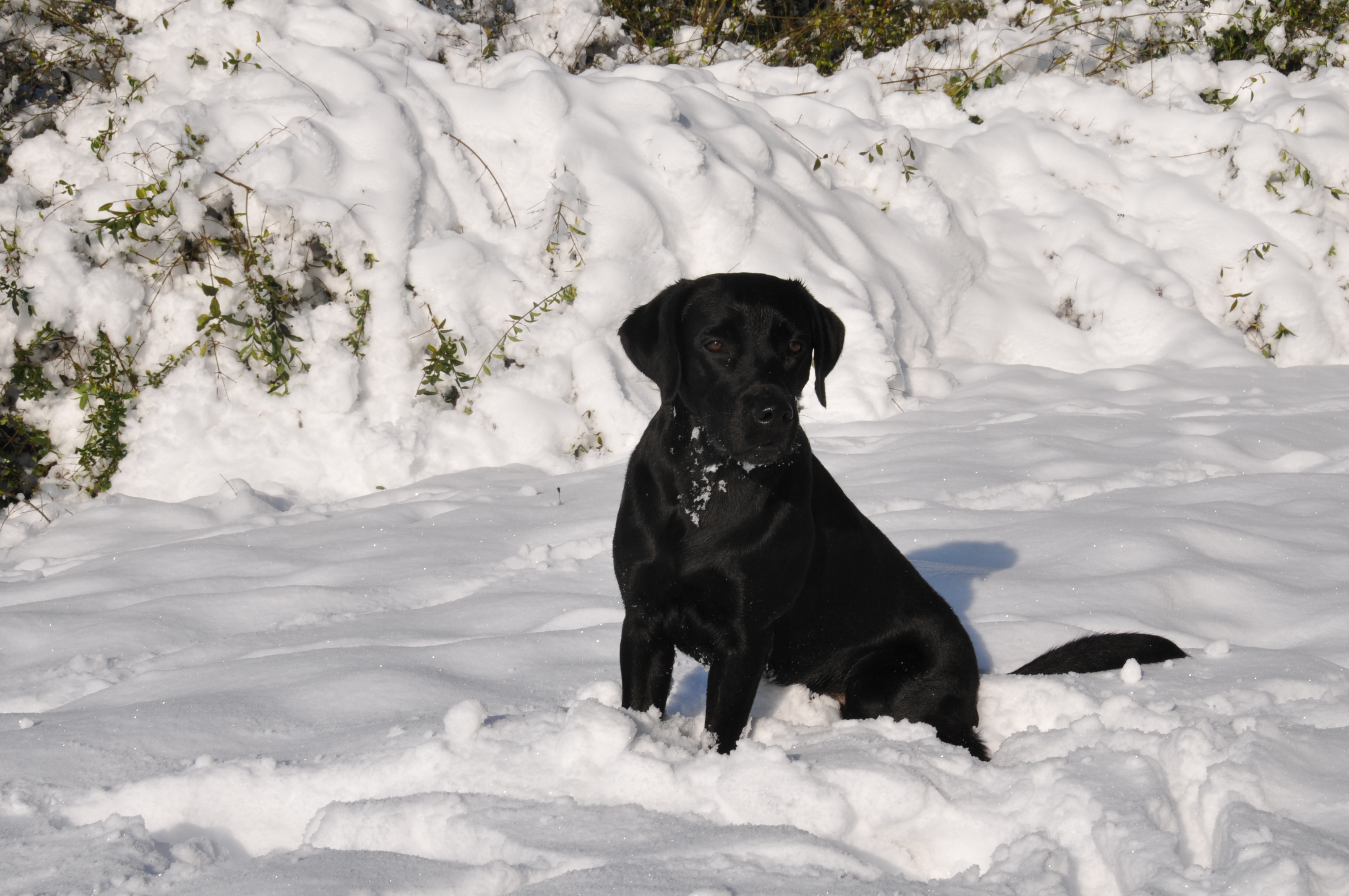 Schneee! Oktober 2012