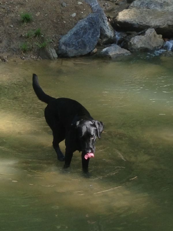 Gerollte Zunge und im Wasser! Juni 2013