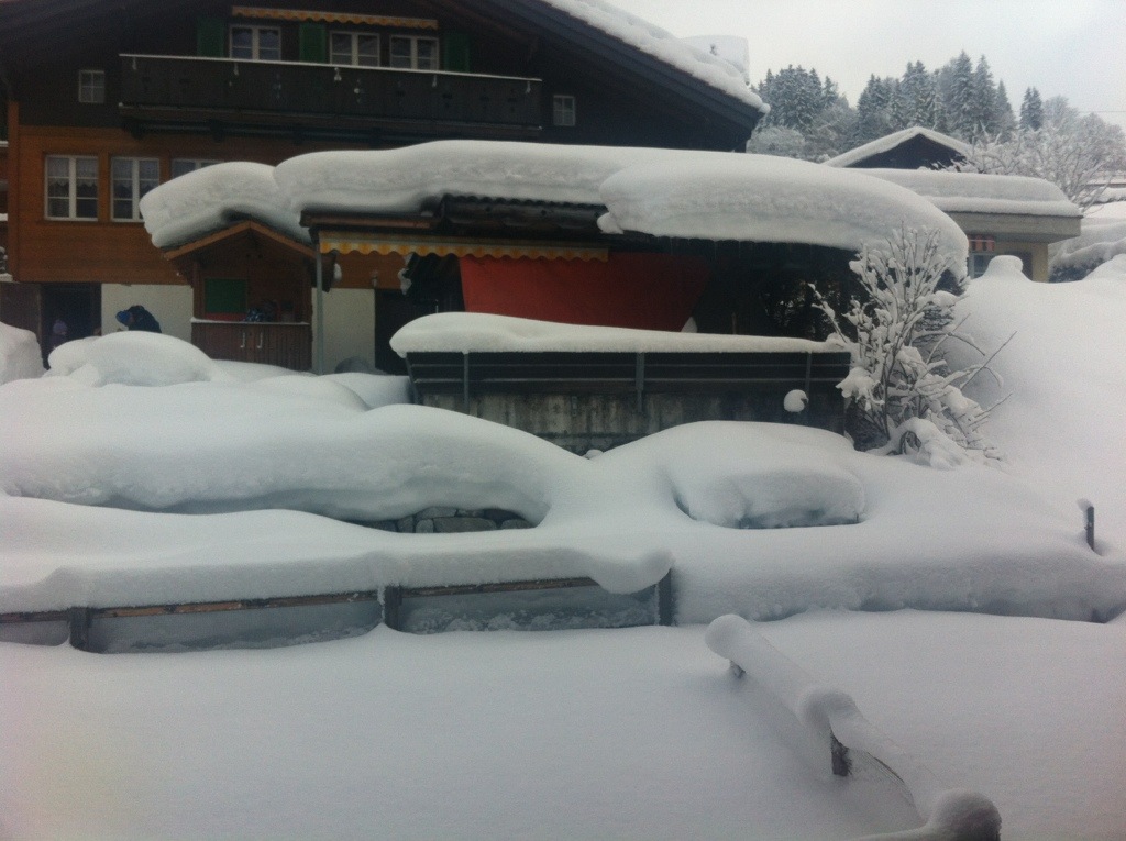 20130203-114235.jpg