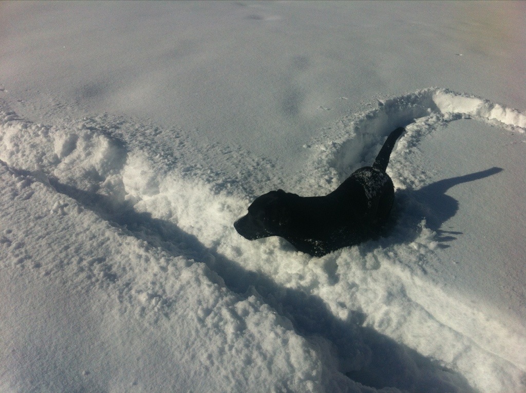 20130204-080327.jpg