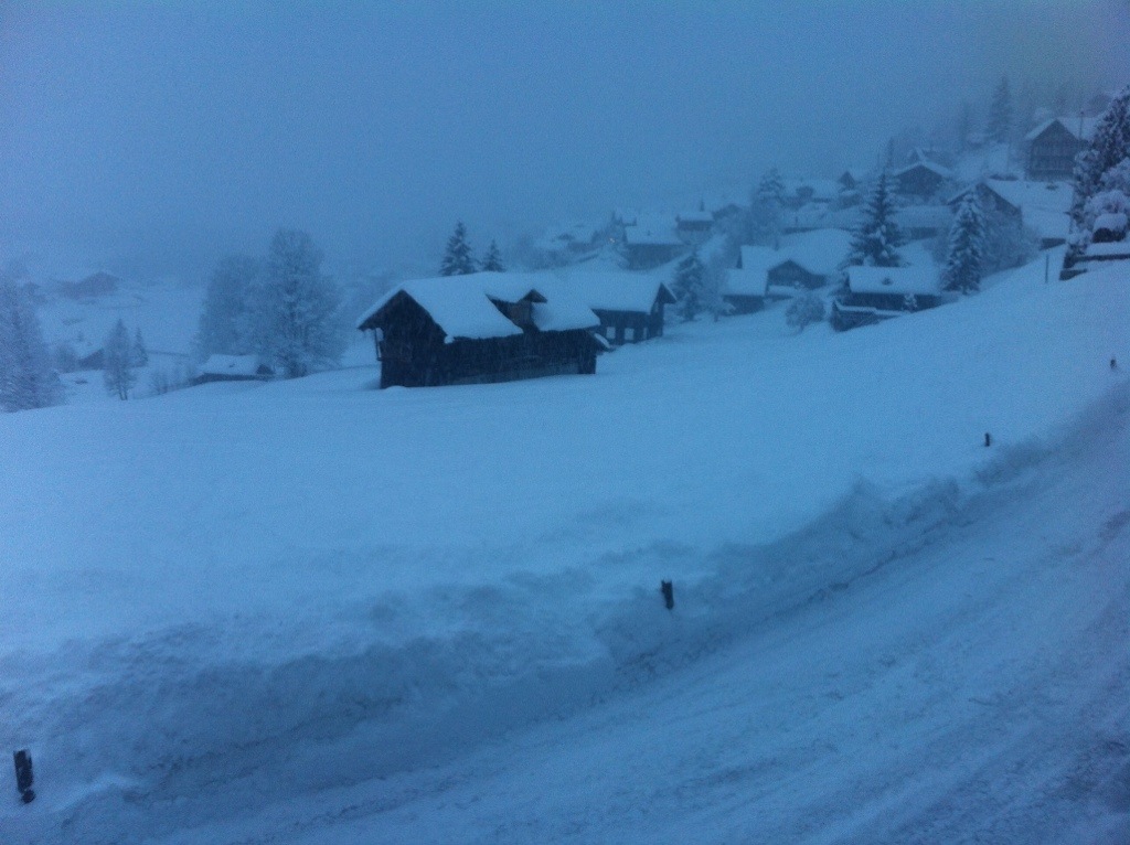 20130204-080929.jpg