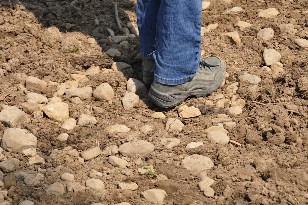 Steinige Wege - Recycling