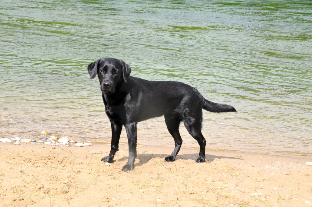 noch einigermassen sauber...