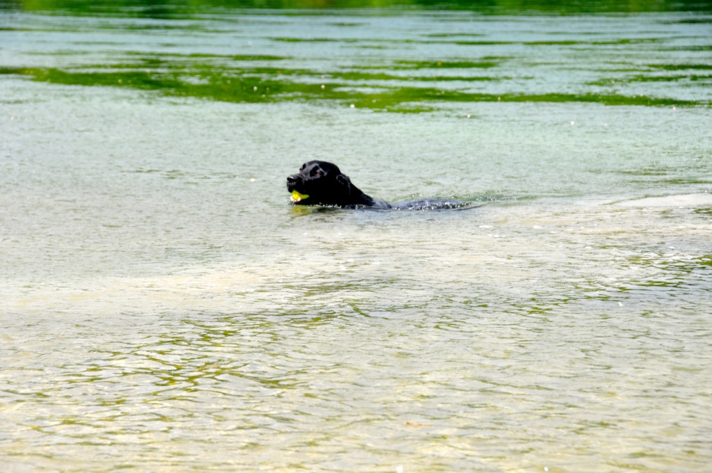 ...ändert das nach dem Schwumm blitzartig