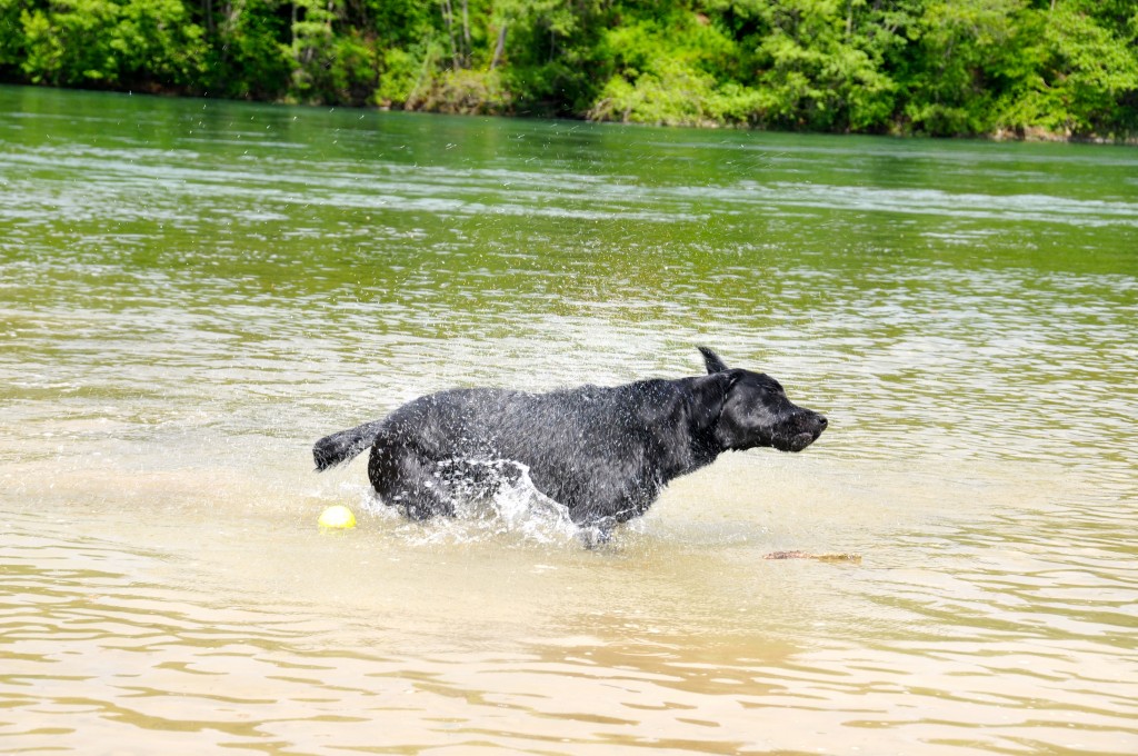 Rette sich wer kann!