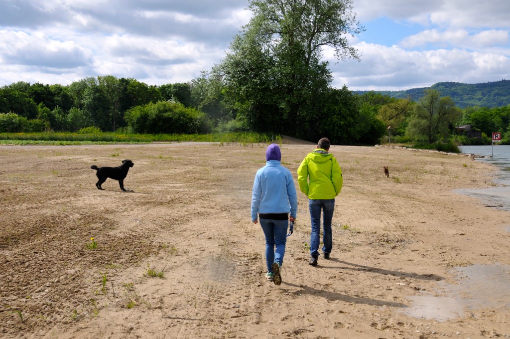 Danach erst sauber panieren...