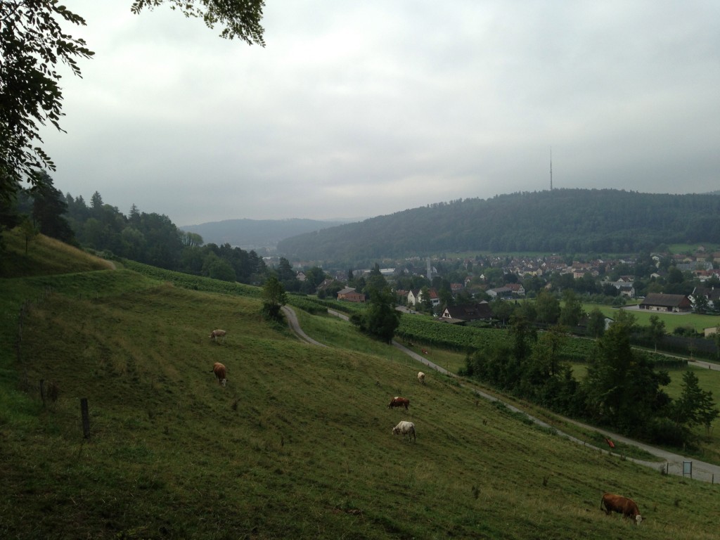 Blick von der Chöpfi über Wülflingen