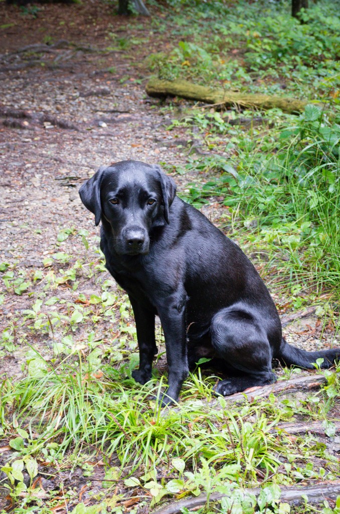 unser Geburtstagskind