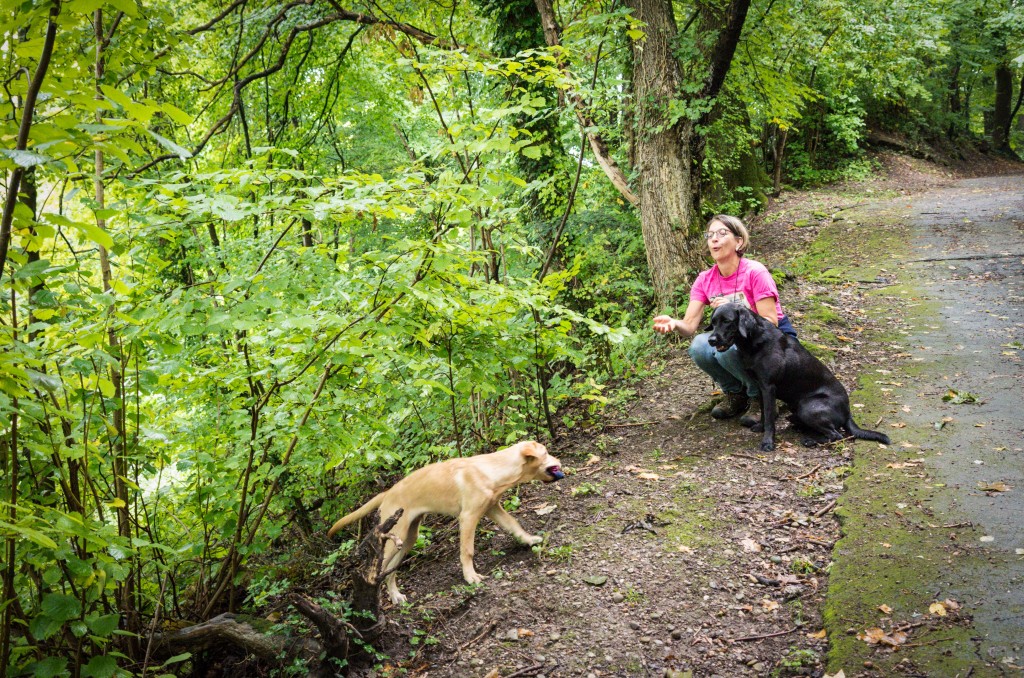 Statt einem Puppy-Dummy gibt es ein paar Eric-Socken für Elio