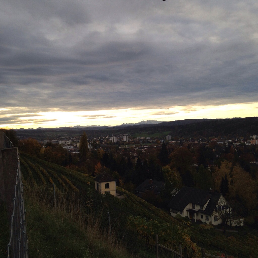 20131028-134916.jpg