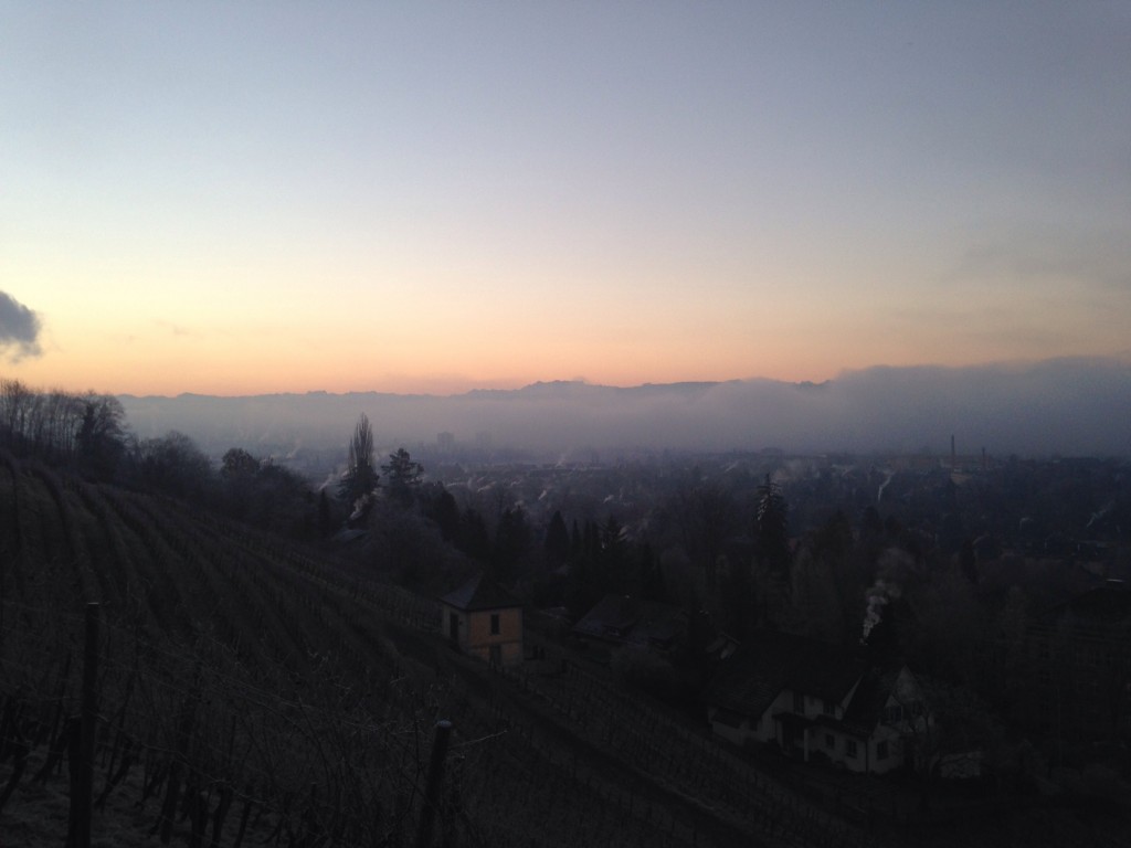 Goldenbergfussweg in Richtung Osten - Churfirsten & Co.