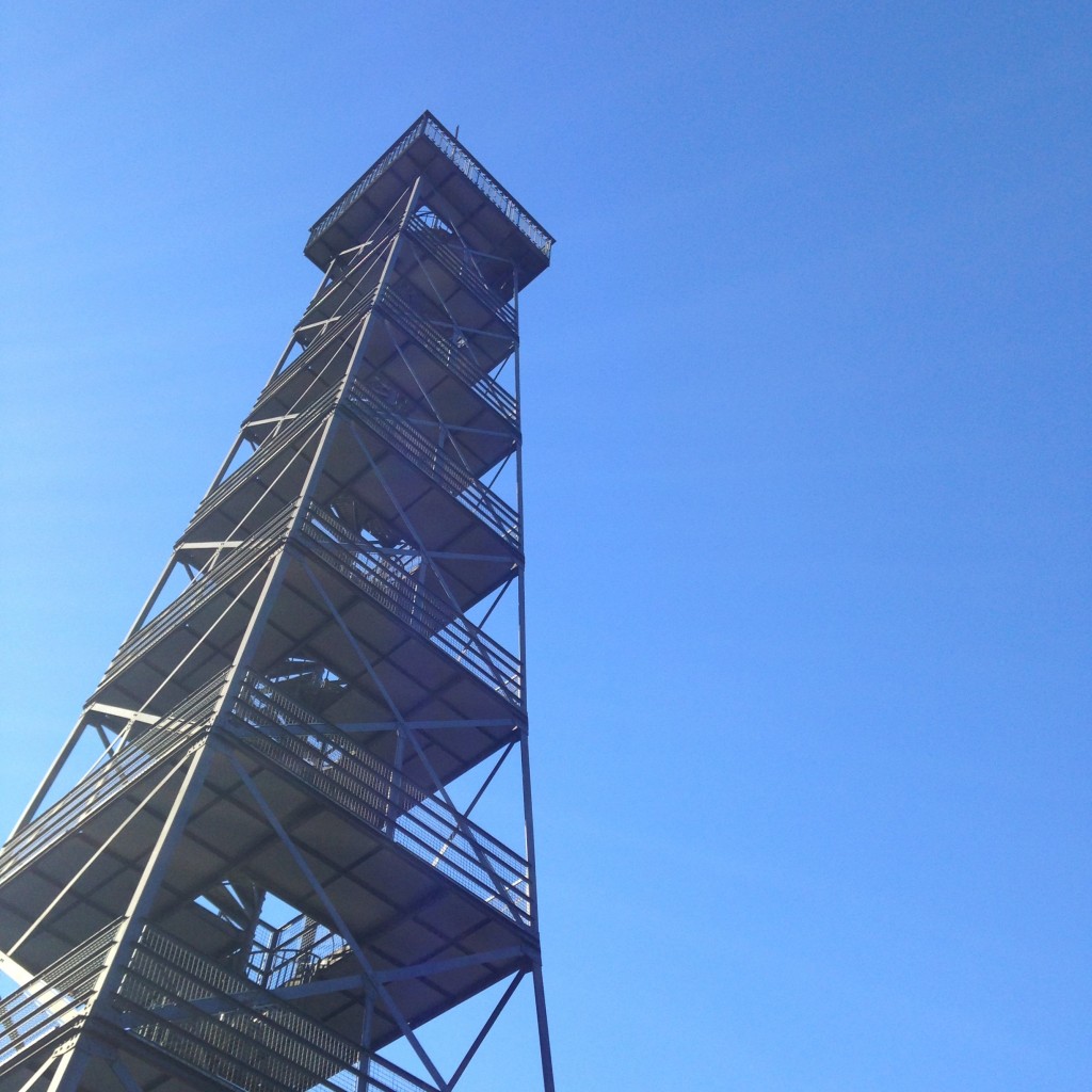 Eschenbergturm - von unten