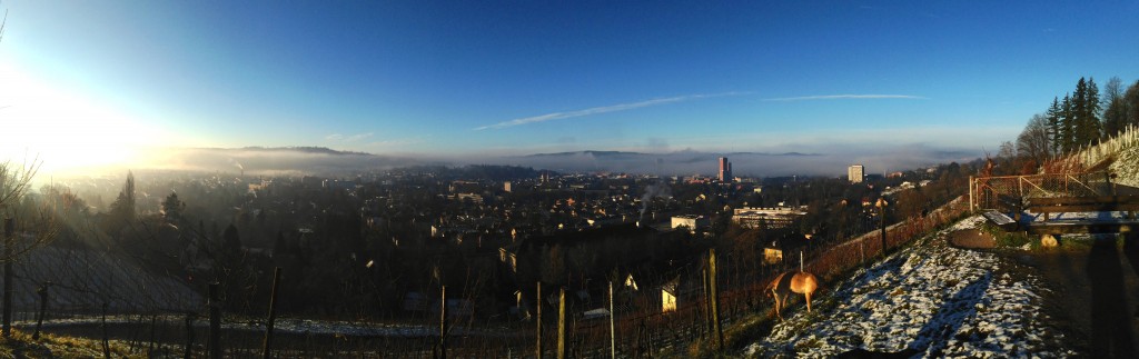 Hammerpanorama