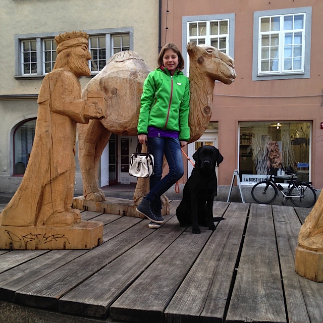das Kamel, der Hund, die AnnA und die heiligen drei Könige