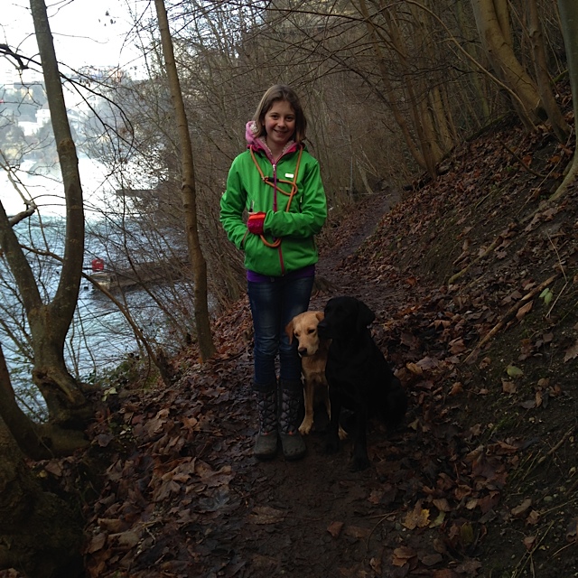 auf dem Weg zum Rheinfall