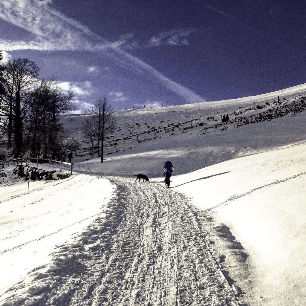 Bob & AnnA im Schnee