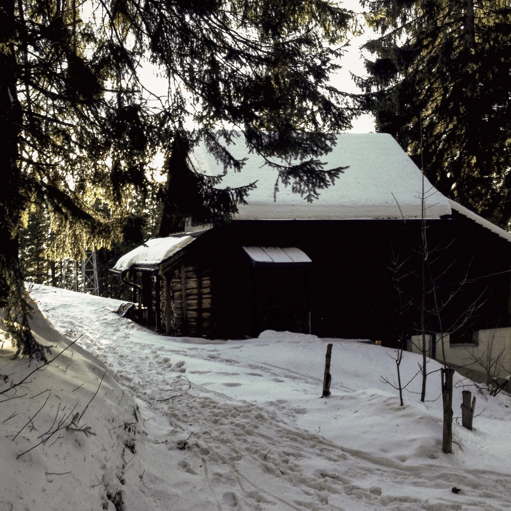 und da ist er: der Chili!