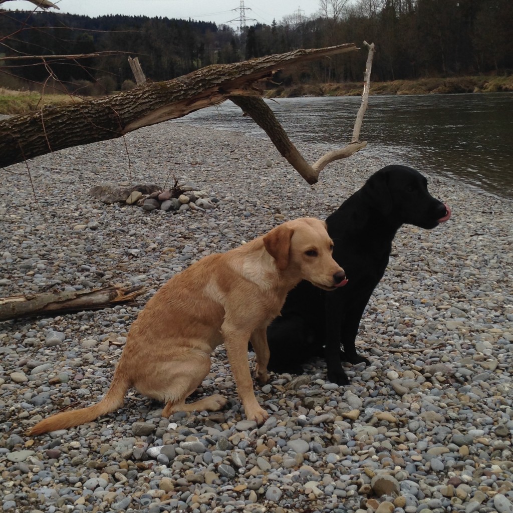 Unser Duo ganz brav