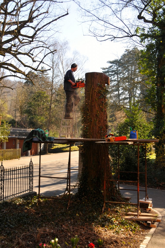 Gerüst ist aufgestellt....