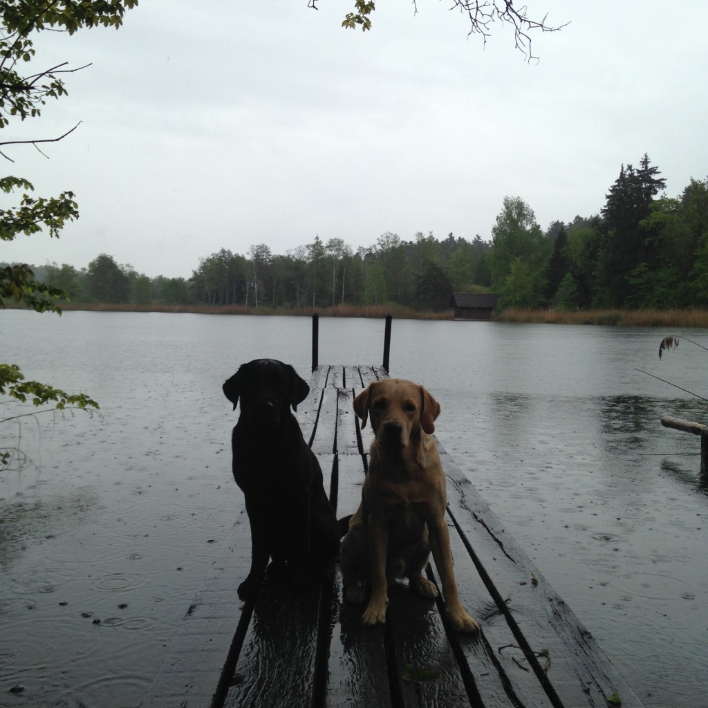 VOR dem Bad, sah man den Farbunterschied noch.