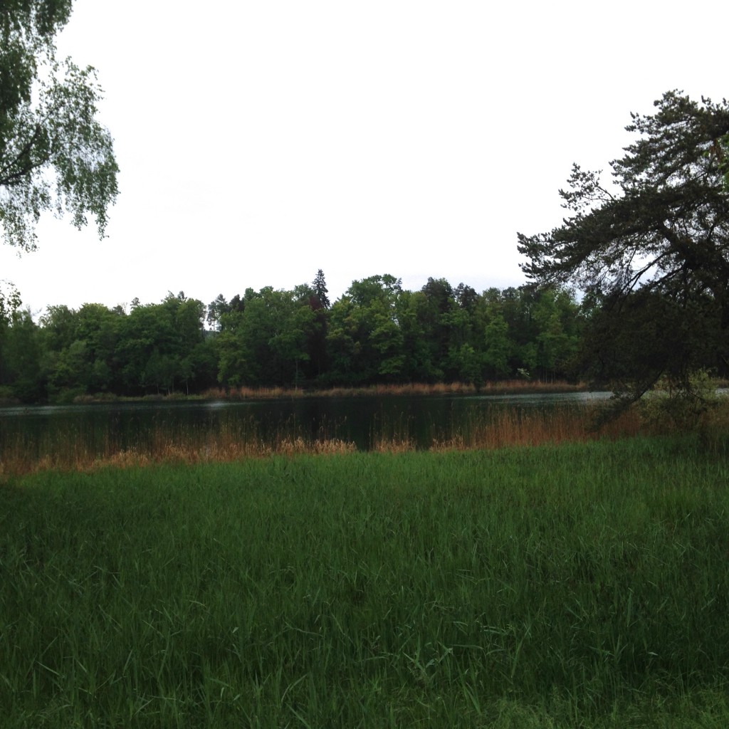 Stimmung, wie gemalt