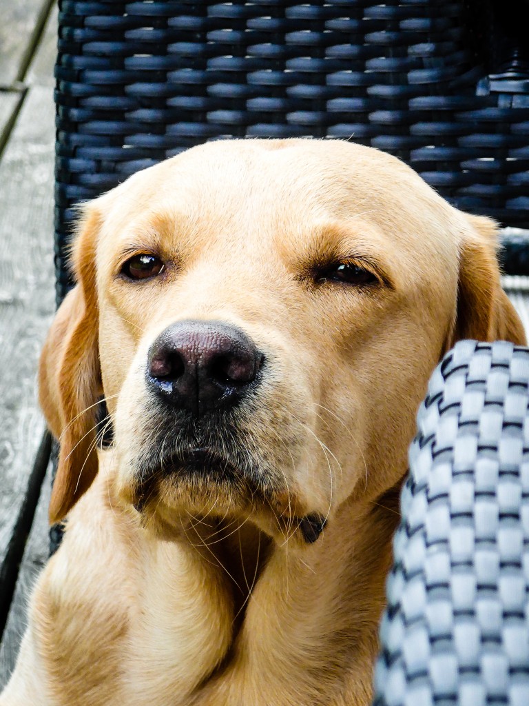 auch Elio ist nudelfertig