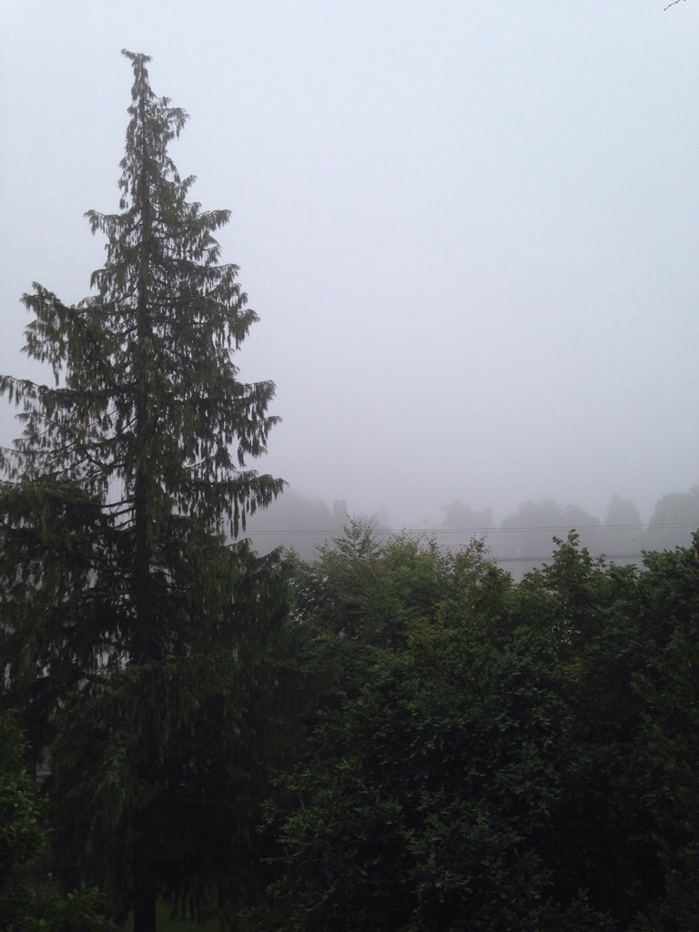 20140723-072620-26780072.jpg