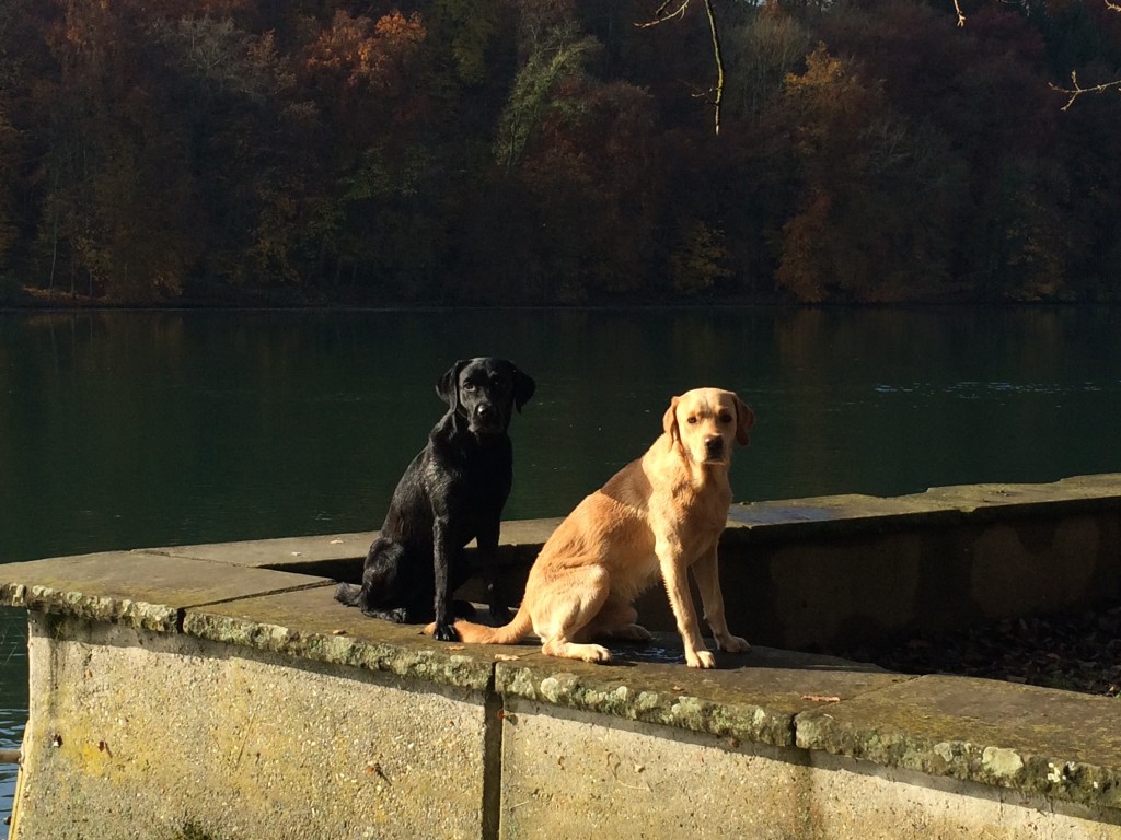 die Begleitung war auch nett!