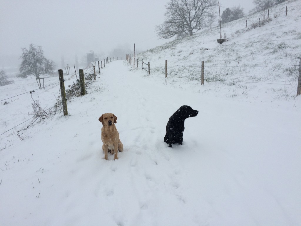 Dick & Doof im Schnee