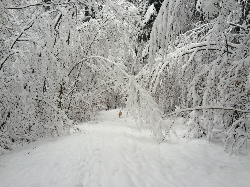 Winti-Winterwonderland, Part I
