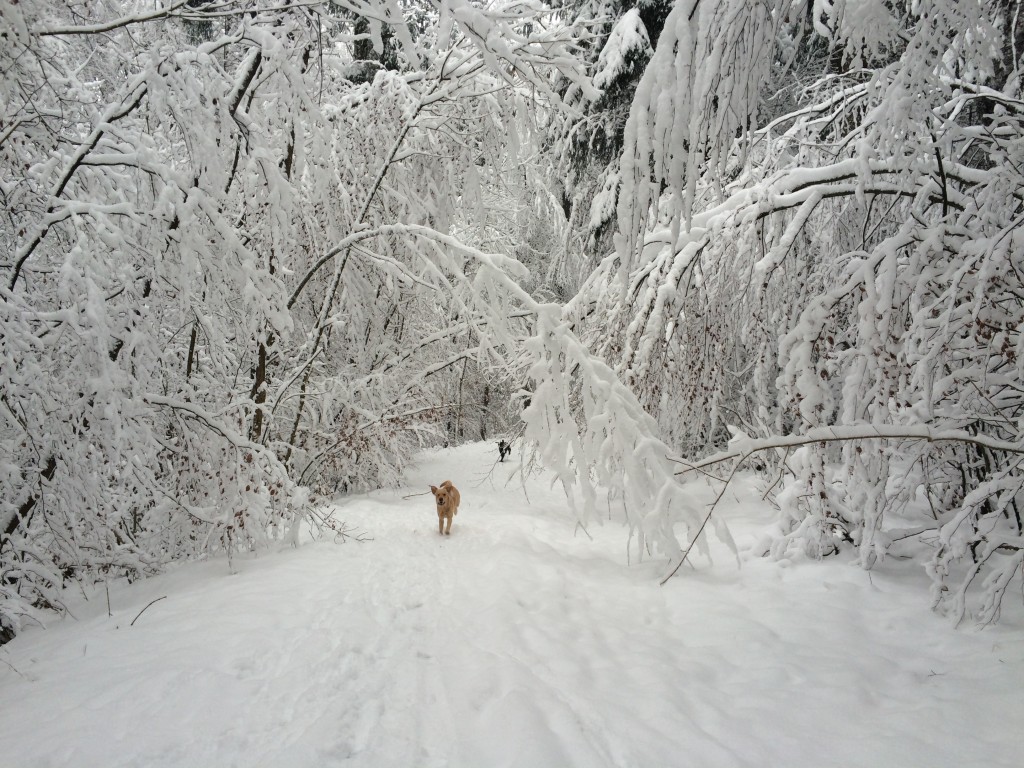 Winti-Winterwonderland, Part II