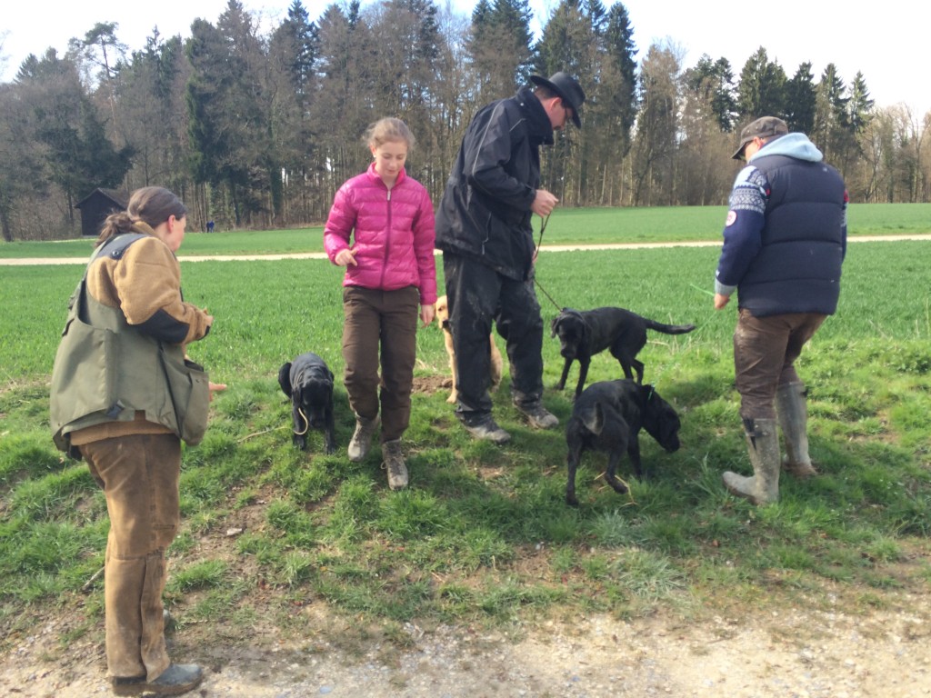 büscheln der Familie...