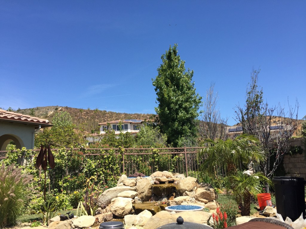 Hinter dem bewässerten Garten beginnt die Wüste