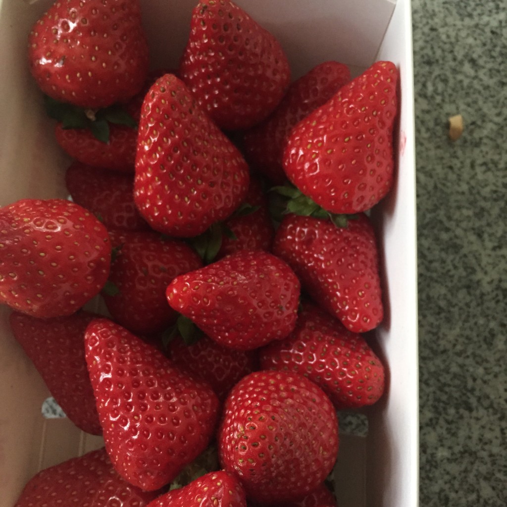 Erdbeeren von Niederwil bei Islikon (ok, knapp vor Frauenfeld)