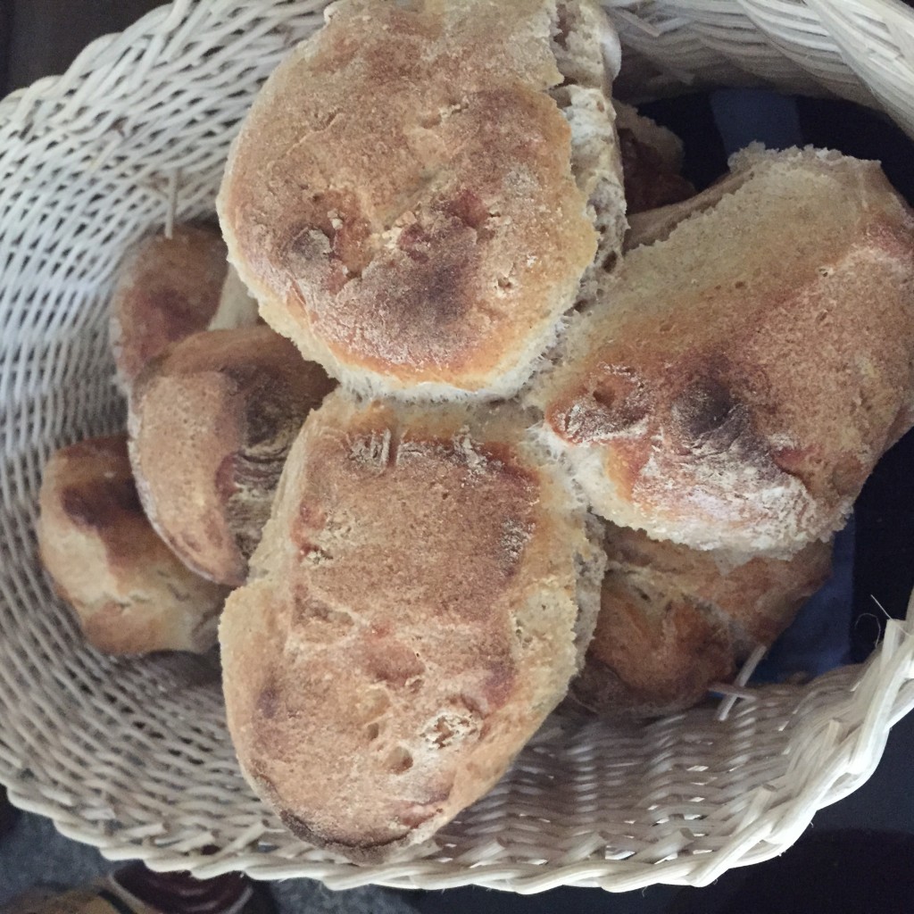 St. Galler Bürli - lauwarm