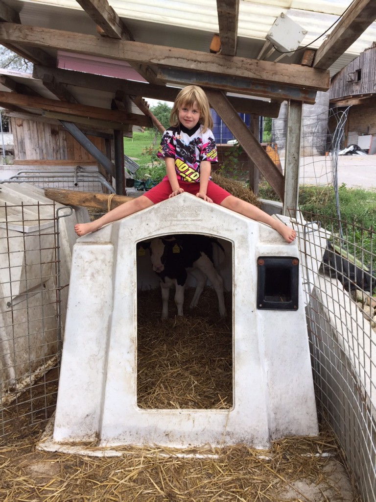 Sarah - auf Kalberhütte