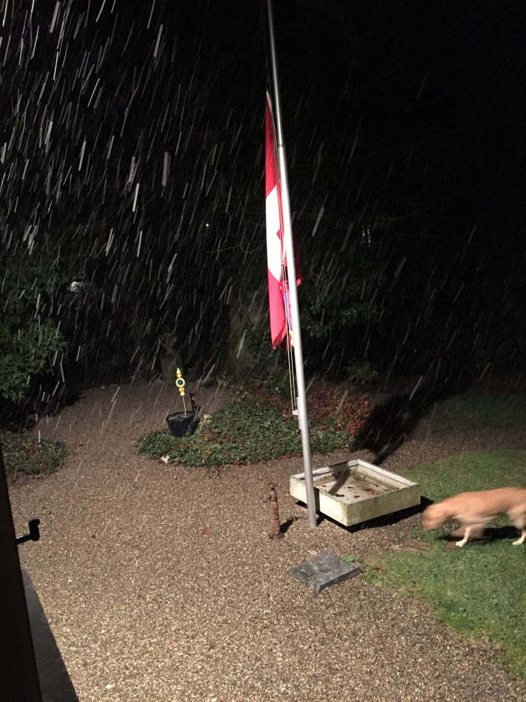 erste Flocken Winter 2015