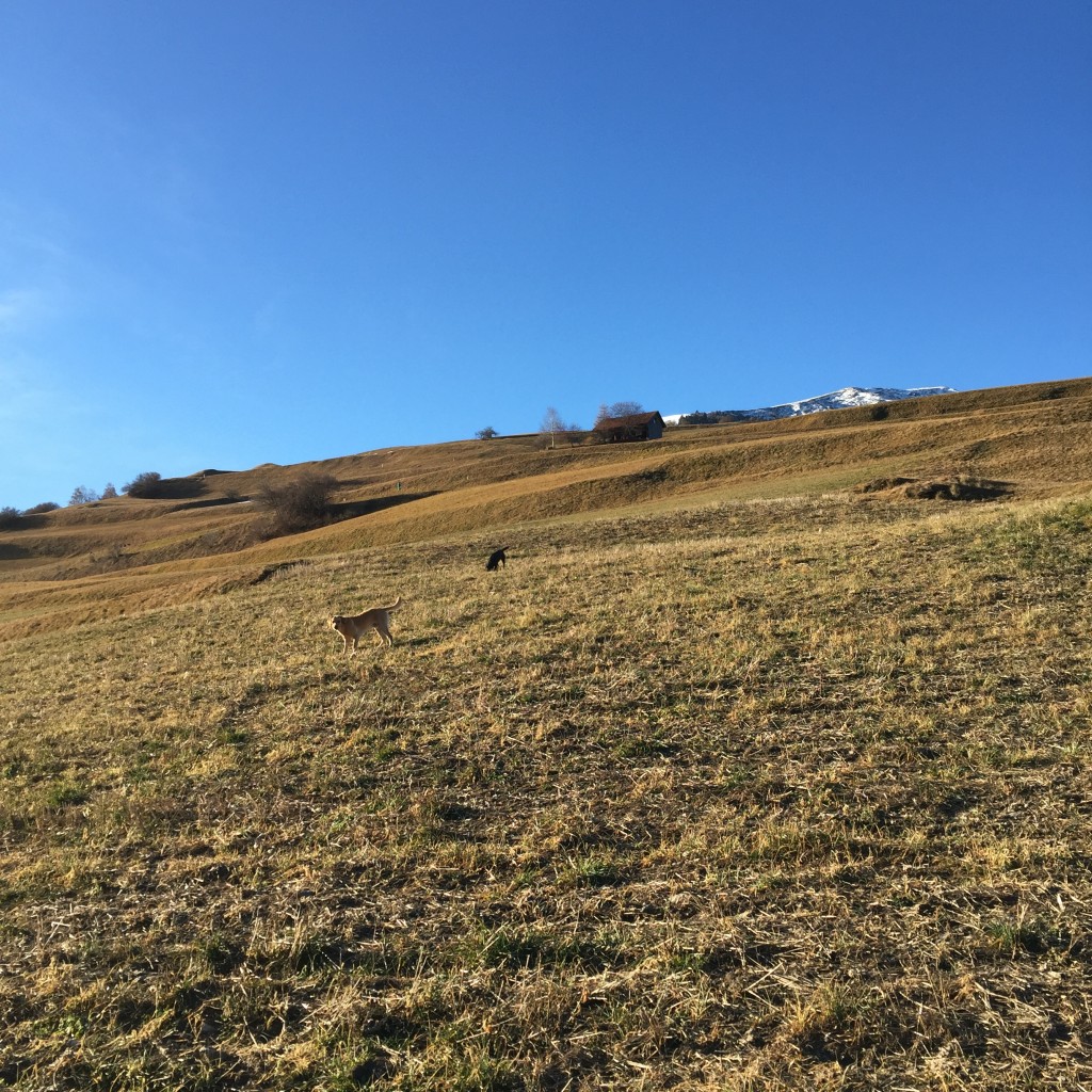 Keine Spur von Schnee