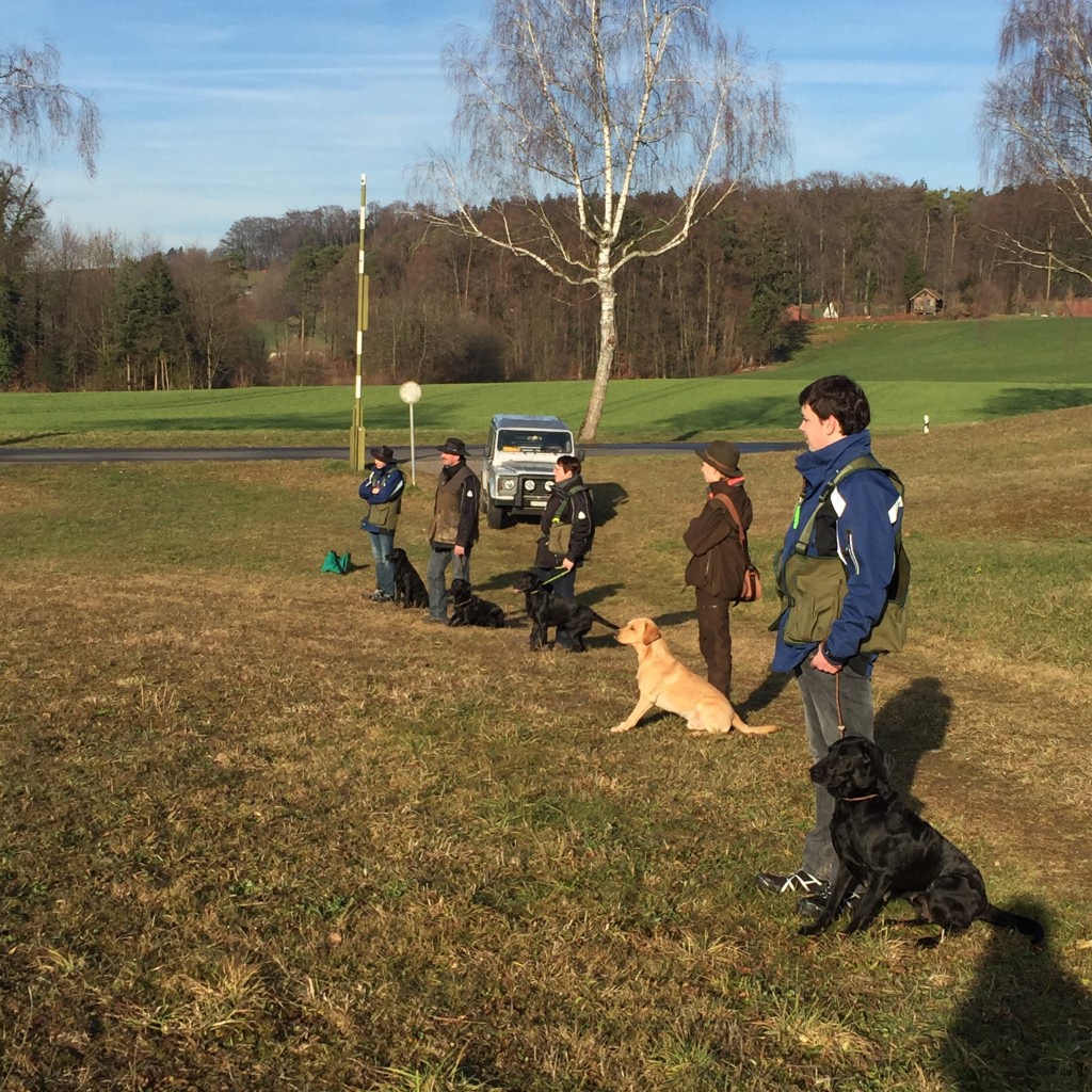 von links: Felix mit Lucy, Stefan mit Ebby, Heike mit Jodie, Fabian mit Daisy und AnnA mit Elio und dann sitzt da noch Bob