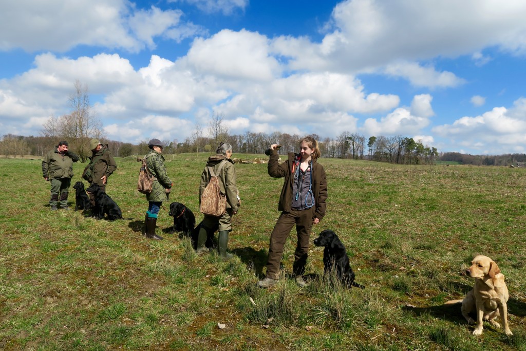 grandiose Verhältnisse