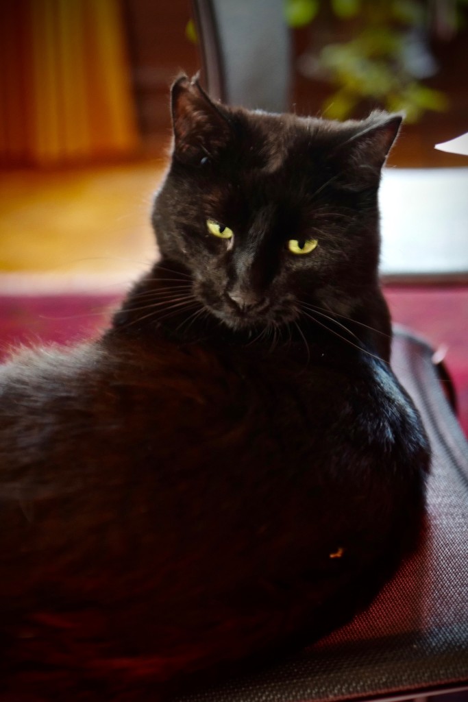 Nero - not amused
