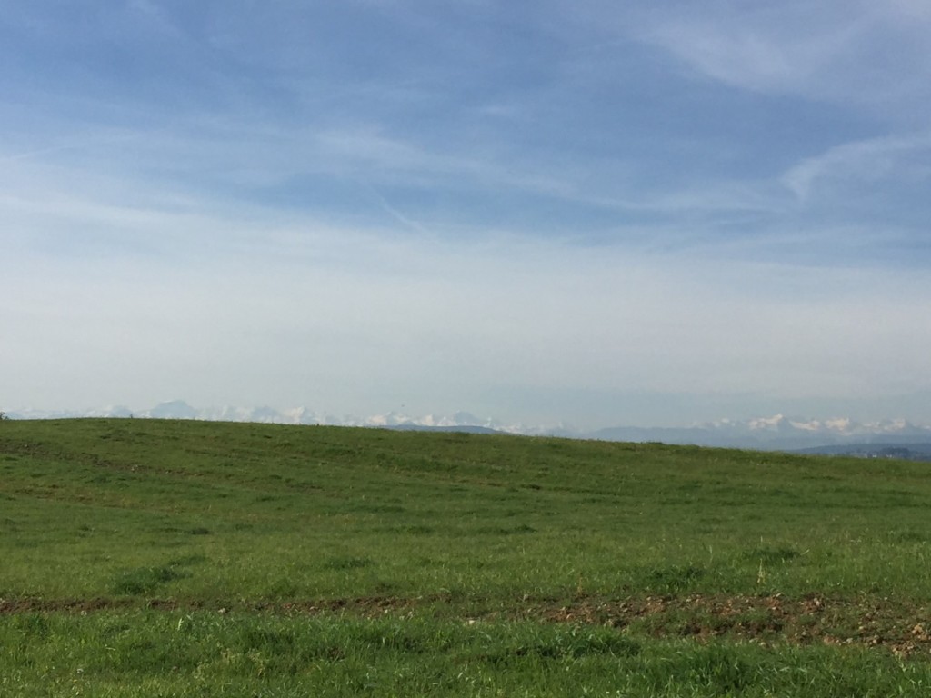 ganz hinten - das Alpenpanorama