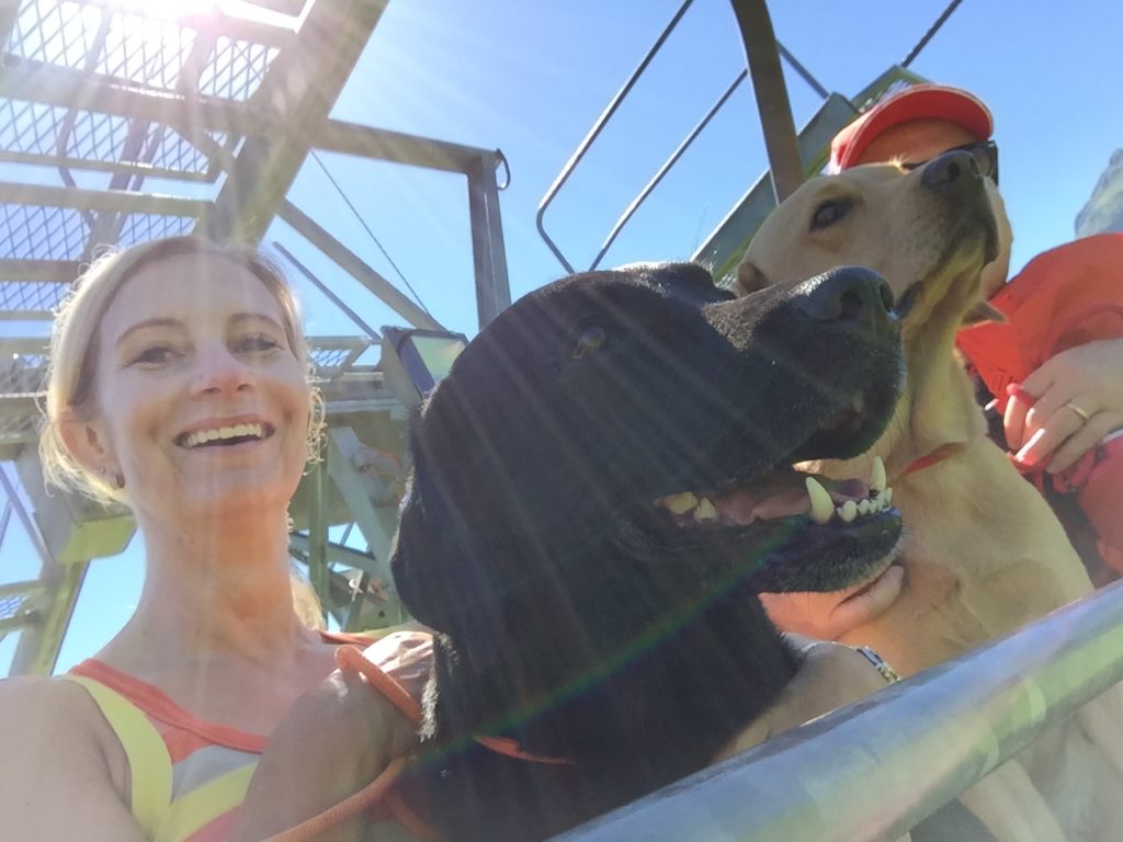 3 Hunde, 3 Menschen auf EINEM Sesselbähnli und noch ein Selfie dazu...